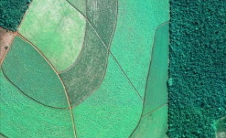 Estudos da NASA revelam que o Brasil ocupa um espaço pequeno para cultivo de lavouras