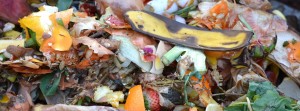 Compostagem doméstica