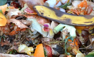 Transformar lixo doméstico em adubo é fácil e qualquer pessoa pode fazer a compostagem