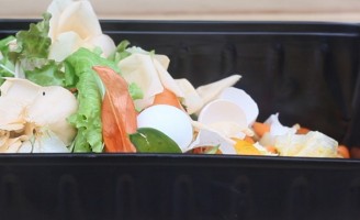 Como montar uma composteira em casa para aproveitar o lixo orgânico