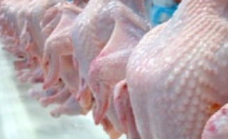 Cuidados com o abate do frango caipira pode elevar o valor da carne