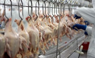 Embarques de aves para exportações foi menor mas o faturamento foi maior em 2017