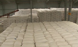 Pequeno produtor vai poder comprar milho no balcão da Conab