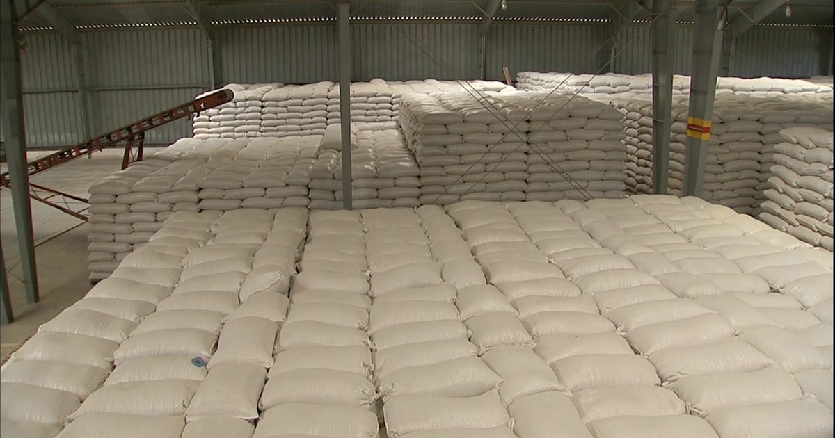 Pequeno produtor vai poder comprar milho no balcão da Conab