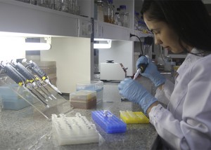 mosca branca - cientista