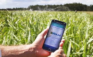 Um aplicativo de celular ajuda ao produtor controlar a oferta de alimento ao gado o ano todo