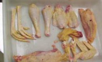 Em janeiro o Brasil exportou mais carne de frango do que em dezembro do ano passado