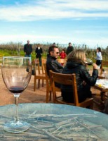 O calendário de eventos do Turismo Enológico no Uruguai para este ano