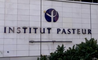 Facilitada a liberação de certificados para viajem com pets para a UE