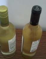 Vinho branco: uma bebida versátil que pode ser consumida em qualquer época do ano