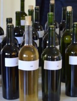 Agora é oficial: produtores de vinhos coloniais já estão registrados