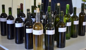 vinhos coloniais