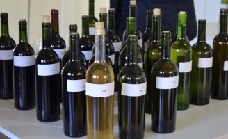 Agora é oficial: produtores de vinhos coloniais já estão registrados