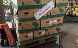 Alimento contaminado que seria comercializado em Pernambuco é apreendido
