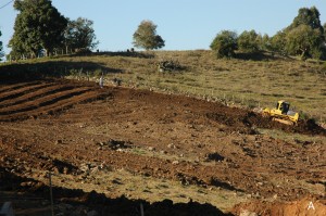 camalhões