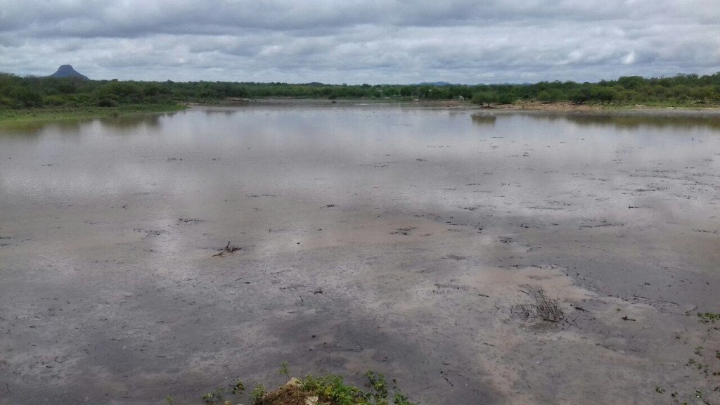 O rio Pajeú bota cheia no sertão