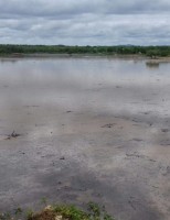 O rio Pajeú bota cheia no sertão