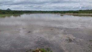 chuva no sertão 1