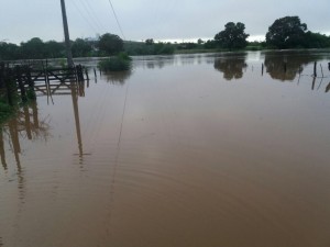 chuva no sertão