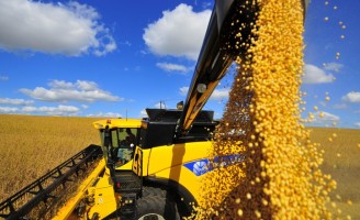 Oeste da Bahia se destaca na produção agrícola