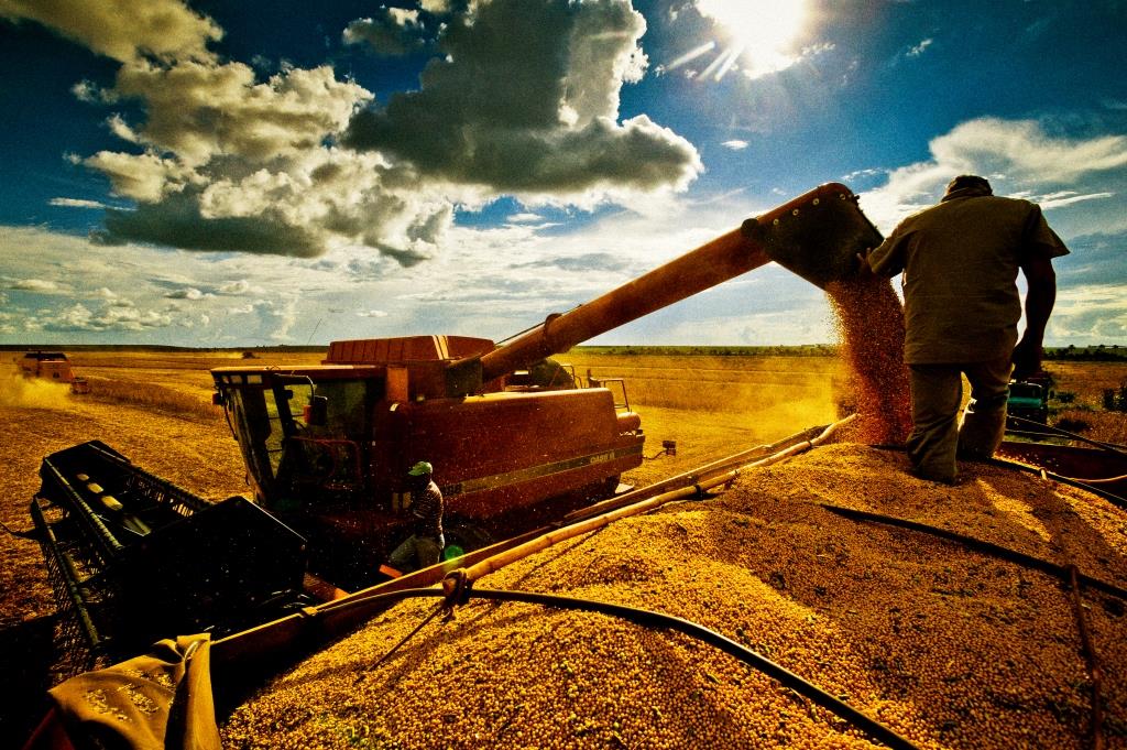 Região produtora de soja no nordeste ganha importância na produção nacional