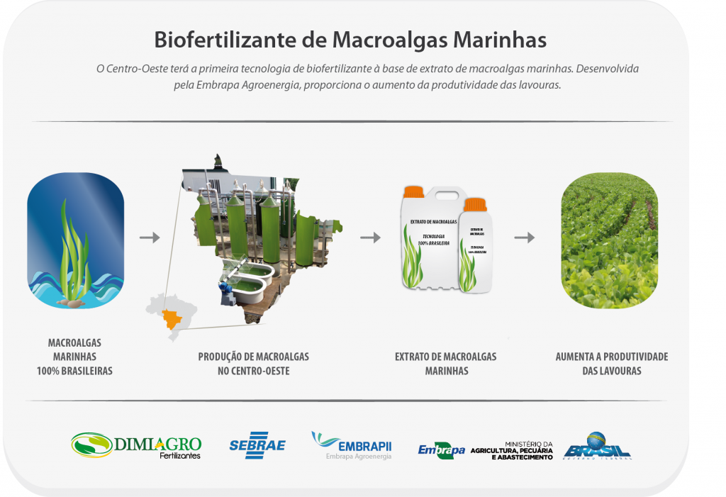 Um Biofertilizante A Base De Algas Marinhas Pode Melhorar Produtividade ...