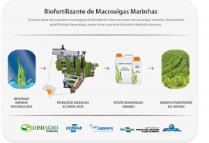 bio fertilizante