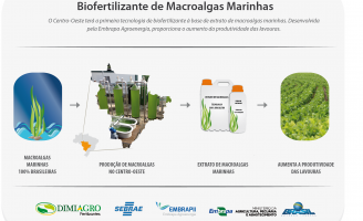 Um biofertilizante a base de algas marinhas pode melhorar produtividade de várias lavouras