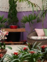 Profissionais de todo o Brasil já podem se inscrever para participar de  mostra de paisagismo –  Expoflora