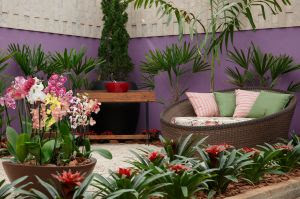 expoflora - flores e sofá redondo