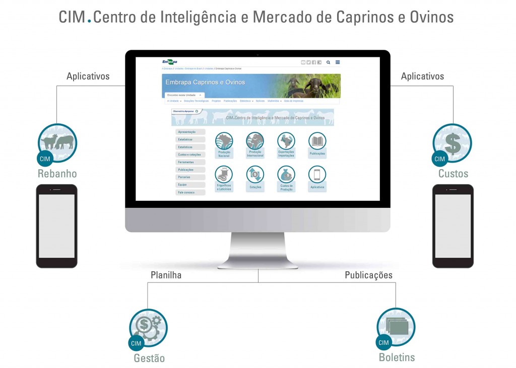 Uma plataforma virtual vai ajudar produtores de caprinos e ovinos a ter mais informações sobre mercado