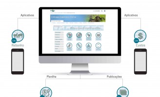 Uma plataforma virtual vai ajudar produtores de caprinos e ovinos a ter mais informações sobre mercado