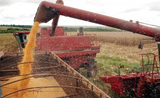 Crescem as exportações brasileiras do agronegócio