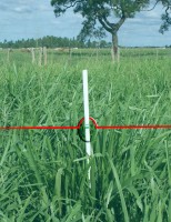 Técnicas para manejo de pastagens sem precisar fazer uso de queimadas