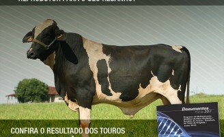 Uma atualização do sumários de touros girolando para aproveitamento do produtor