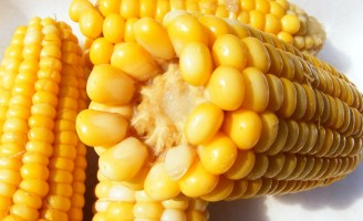Os benefícios do milhos como alimento