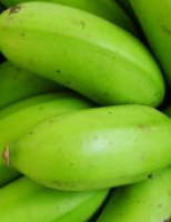Uma bananeira que exige menos água e pouca quantidade de defensivos químicos