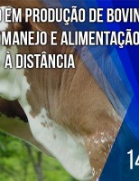 Um curso à distância para ensinar como melhorar a criação de bovinos leiteiros