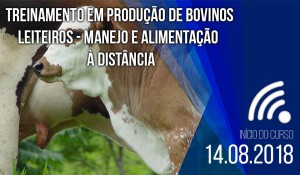 curso a distância