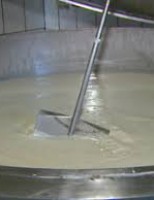 A produção de leite orgânico cresceu mais de 20% no Brasil