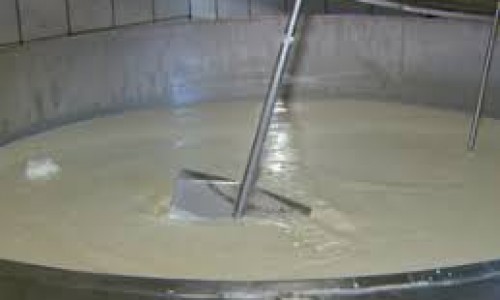 A produção de leite orgânico cresceu mais de 20% no Brasil