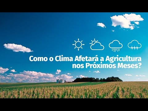 Especialistas discutem hoje a possibilidade do El Niño influenciar na safra 2018/2019
