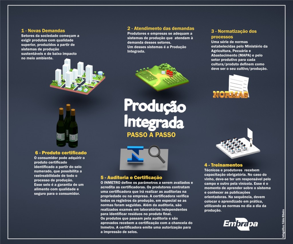 Reconhecidos os primeiros vinhos brasileiros produzidos na técnica de boas práticas