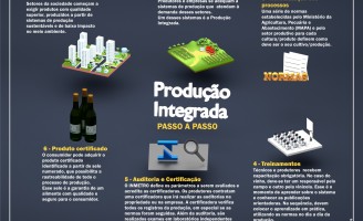 Reconhecidos os primeiros vinhos brasileiros produzidos na técnica de boas práticas