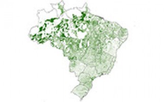 Proprietários rurais ganham consciência de valorizar a preservação ambiental