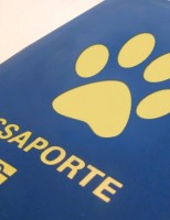 Definidas novas regras para importação de animais e de material genético no Mercosul