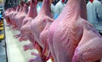 Exportações de carne de frango batem recorde histórico