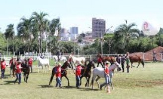 Últimos preparativos para a 55ª edição da feira agropecuária de Uberlândia