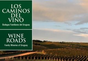 camino del vino