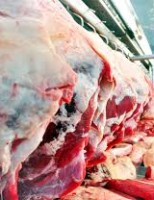 Crescem as vendas de carne bovina brasileira para outros países